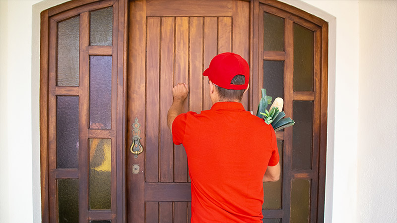 Cost-Saving Tips for Replacing Your Front Door with Sidelights